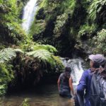 Waialeale Blue Hole Waterfall Hike