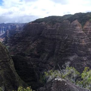 Waimea Canyon and Kokee Hiking Tour