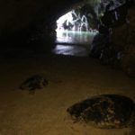 Turtle Cave Hike